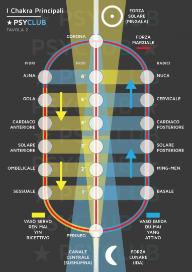 Tavola 2: I Chakra Principali - I 14 Chakra Principali sono collegati dai meridiani Ren Mai e Du Mai, mentre i loro 6 nodi dal Canale Centrale.