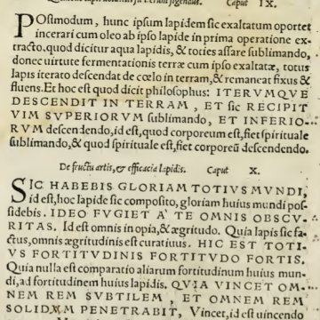 Hortvlani Comment, Caput VIII-XI