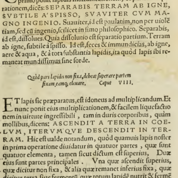 Hortvlani Comment, Caput VII-VIII