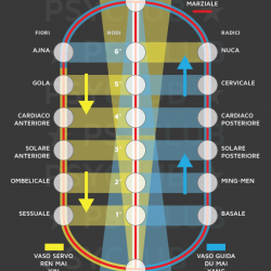 La Meditazione della Centratura, Parte 2: i Chakra Principali